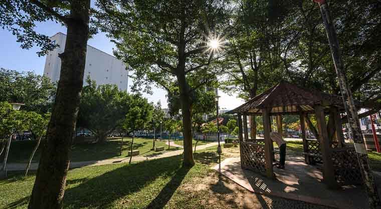 大雅公園三千坪綠意，從「坤悅雅樂」基地散步就到。