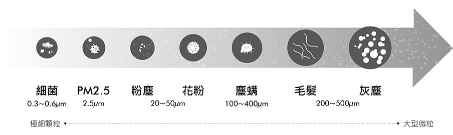 PM2.5直徑僅頭髮1/28，可直接進入人體的肺泡與微血管中，進而散佈於全身，對身體造成嚴重的傷害。