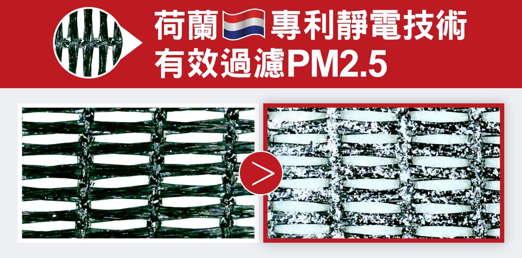 Polltex Before After S