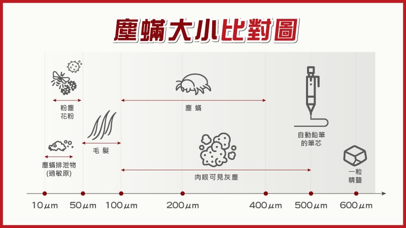 塵蟎大小肉眼看得到嗎?一篇教你如何判斷家中有塵蟎 1 塵蟎大小