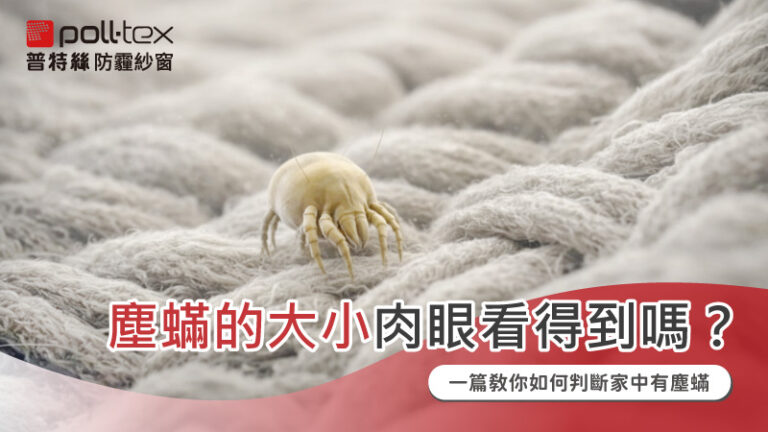 塵蟎大小