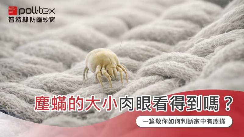塵蟎大小