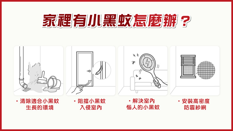 家裡有小黑蚊怎麼辦