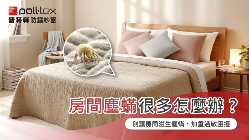 房間塵蟎很多怎麼辦