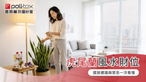 虎尾蘭風水