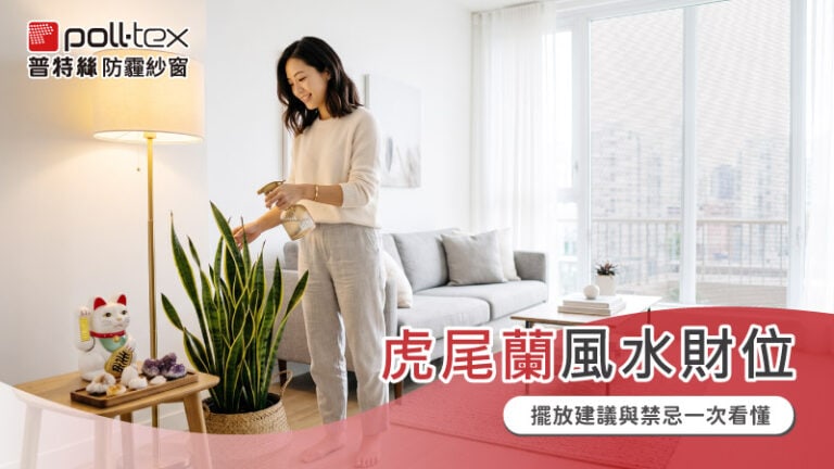 虎尾蘭風水
